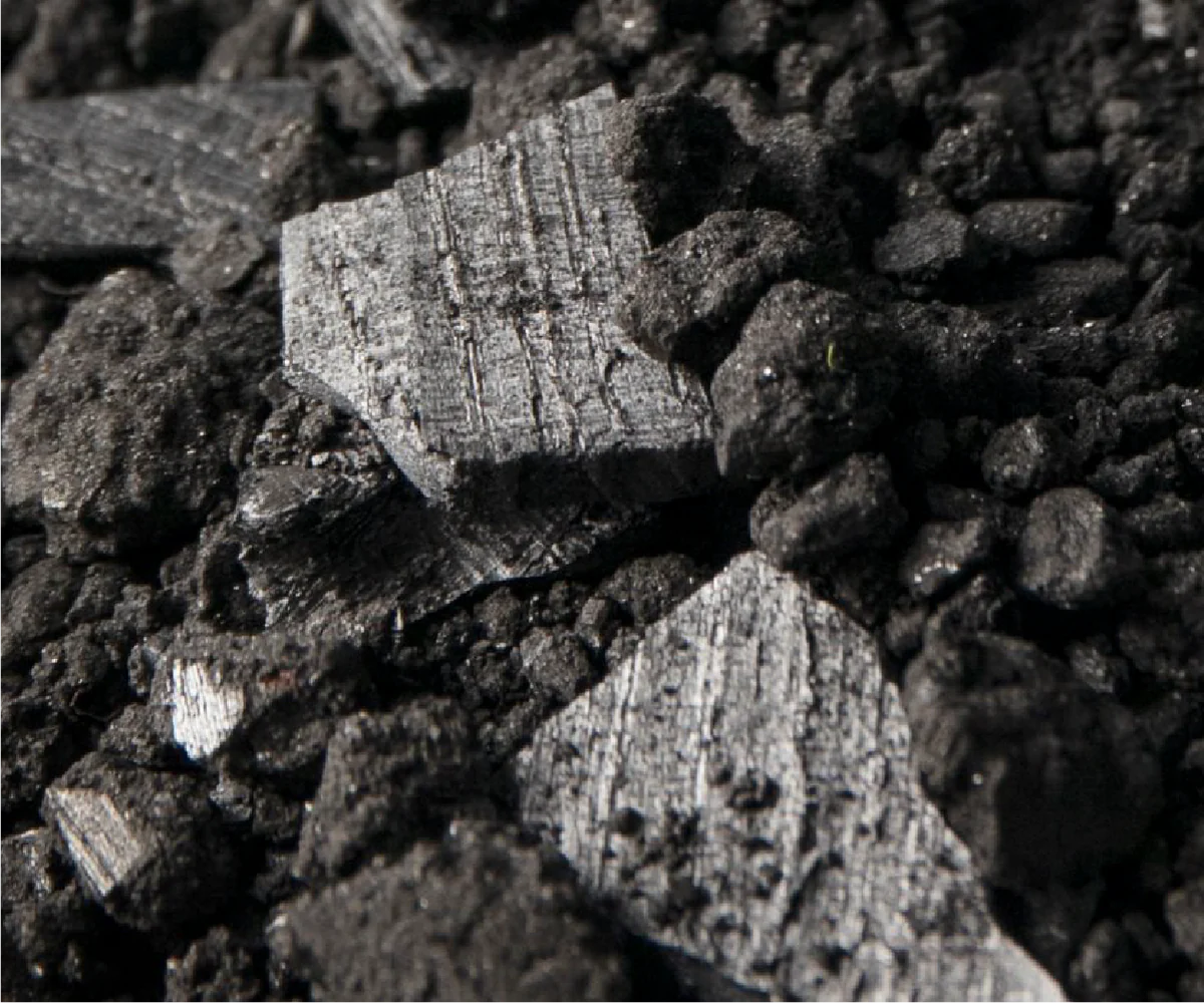 Shilajit Product